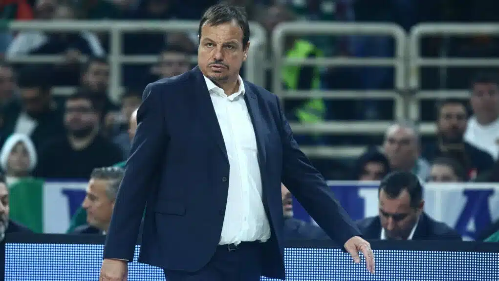 6070769 scaled e1703799622810