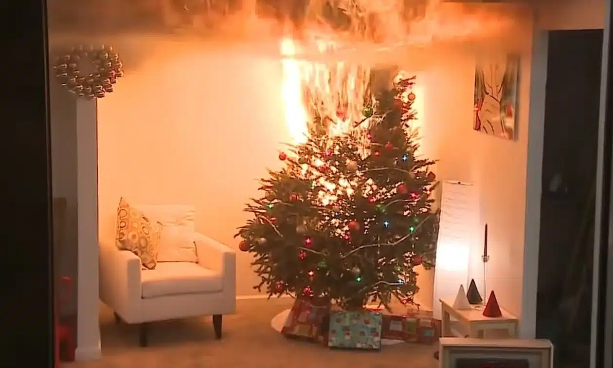 Christouge 1503524 christmas tree fire jpg.webp