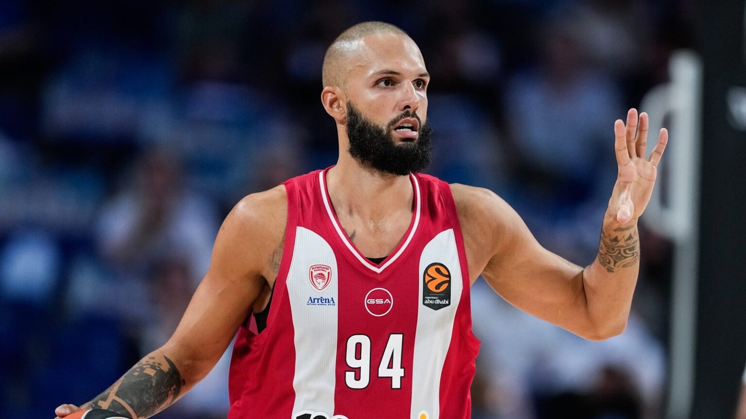 fournier meta real nilikina