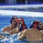 olympiakos novi beograd champions league