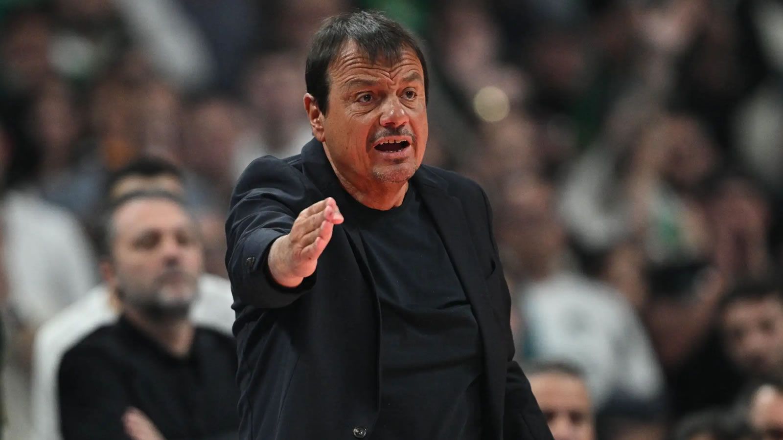 panathinaikos valencia euroleague ataman